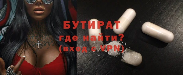 шишки Слюдянка