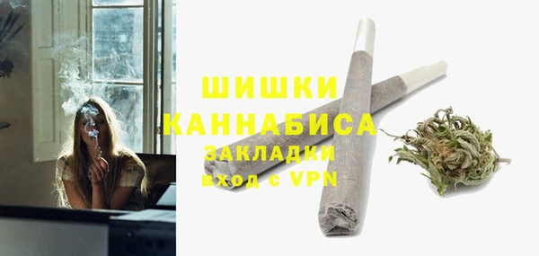 хмурый Снежногорск