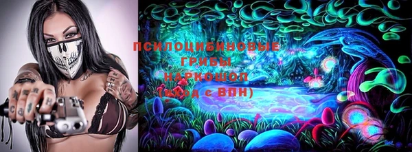 шишки Алексин
