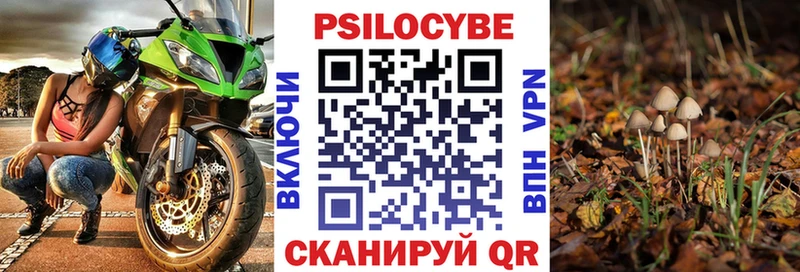 Псилоцибиновые грибы ЛСД  MEGA ТОР  Калач-на-Дону 