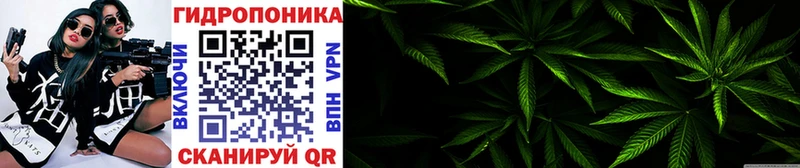 маркетплейс официальный сайт  Калач-на-Дону  Конопля ГИДРОПОН  наркотики 